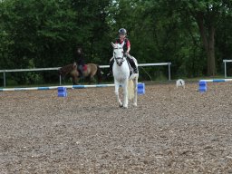 img_4595_web